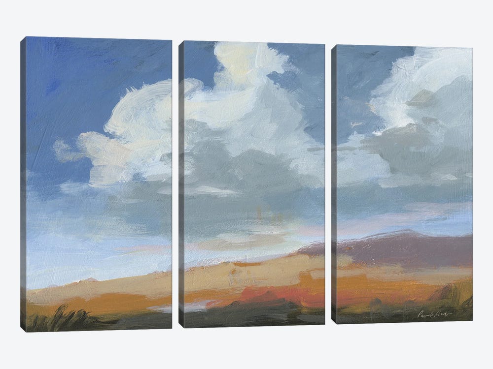 August Sky by Pamela Munger 3-piece Canvas Artwork