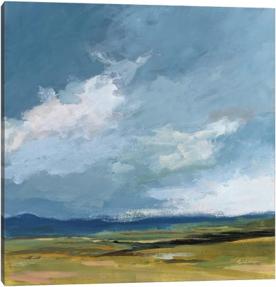 August Storm Canvas Art Print - Field, Grassland & Meadow Art