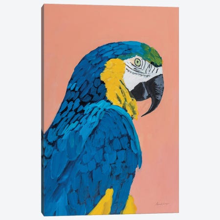 Blue And Gold Macaw Crop Canvas Print #PML26} by Pamela Munger Canvas Art Print