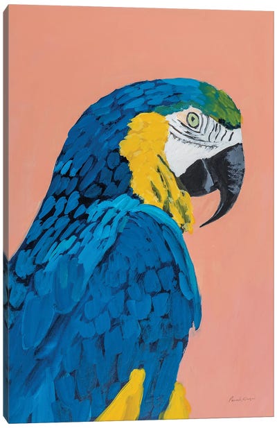 Blue And Gold Macaw Crop Canvas Art Print - Macaw Art