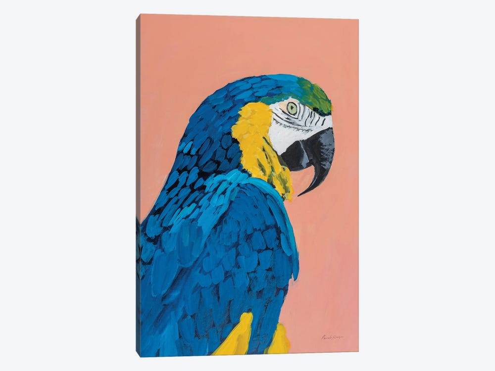 Blue And Gold Macaw Crop by Pamela Munger 1-piece Canvas Art Print