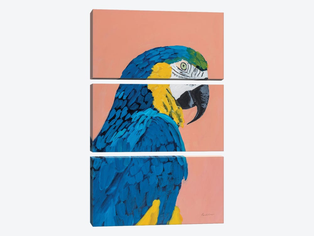 Blue And Gold Macaw Crop by Pamela Munger 3-piece Canvas Art Print