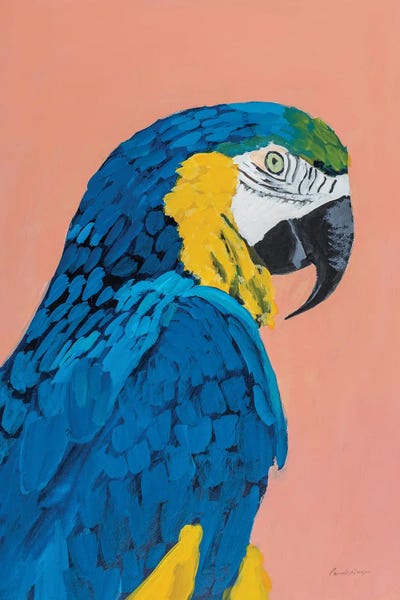 Macaws: Blue And Gold Macaw Crop by Pamela Munger