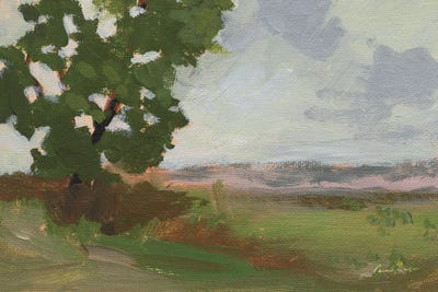 East Of Spring Hill by Pamela Munger canvas print