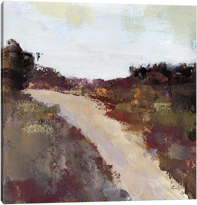 Path Canvas Art Print - Pamela Munger