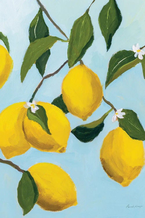 Lemon Tree by Pamela Munger wall art