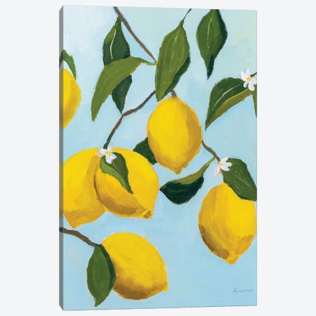 Lemon Tree Canvas Print #PML42} by Pamela Munger Canvas Wall Art