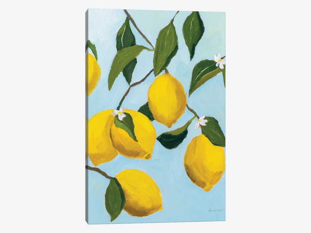 Lemon Tree by Pamela Munger 1-piece Canvas Art Print