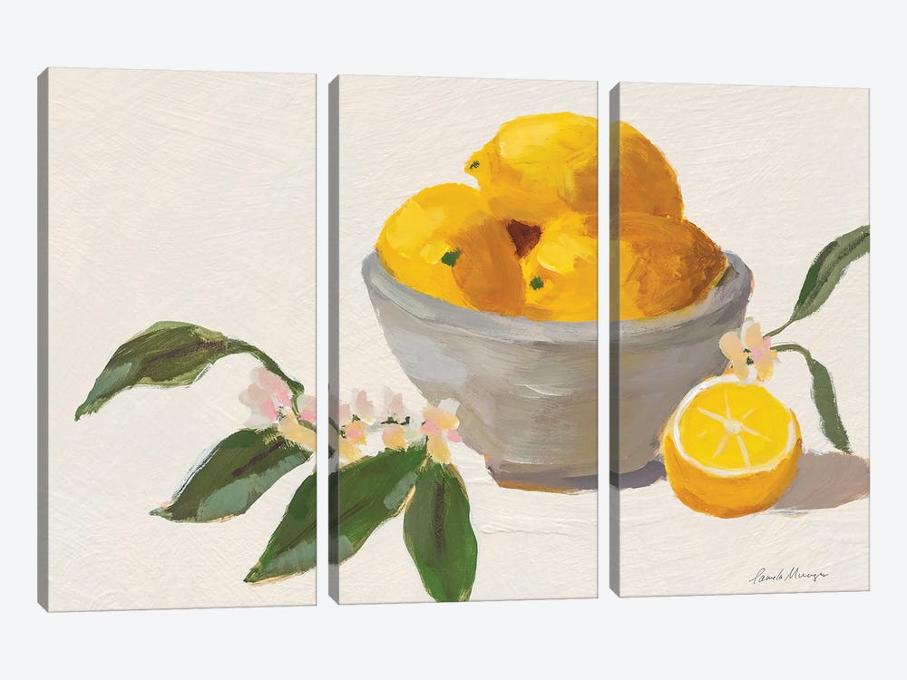 Lemons In Grey Bowl Texture by Pamela Munger 3-piece Canvas Wall Art