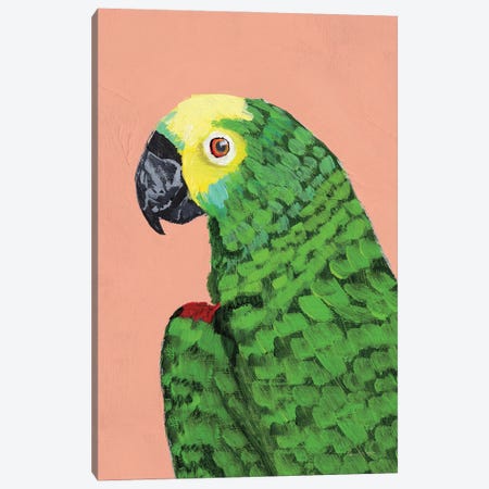 Parrot Head Canvas Print #PML54} by Pamela Munger Canvas Art