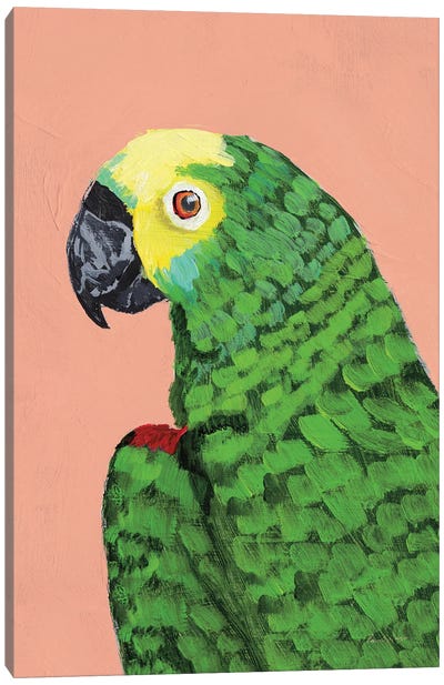 Parrot Head Canvas Art Print - Bohemian Décor