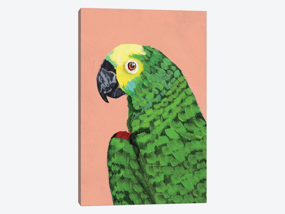 Parrot Head by Pamela Munger 1-piece Canvas Wall Art