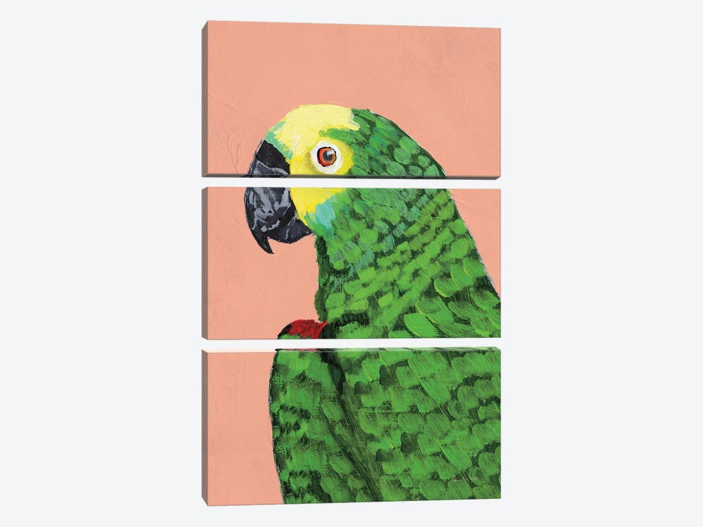 Parrot Head by Pamela Munger 3-piece Canvas Wall Art