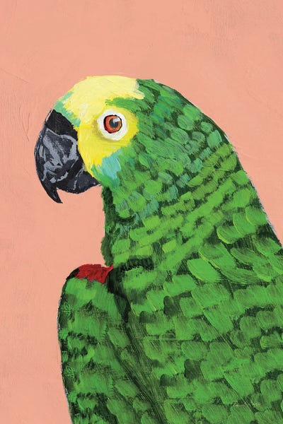 Parrots: Parrot Head by Pamela Munger