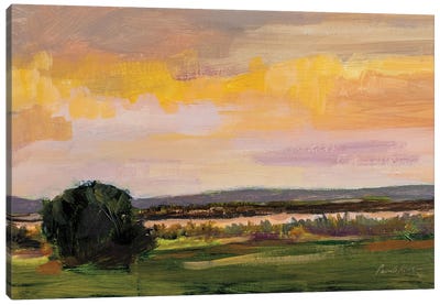 Dusk On Mesa Canvas Art Print - Pamela Munger