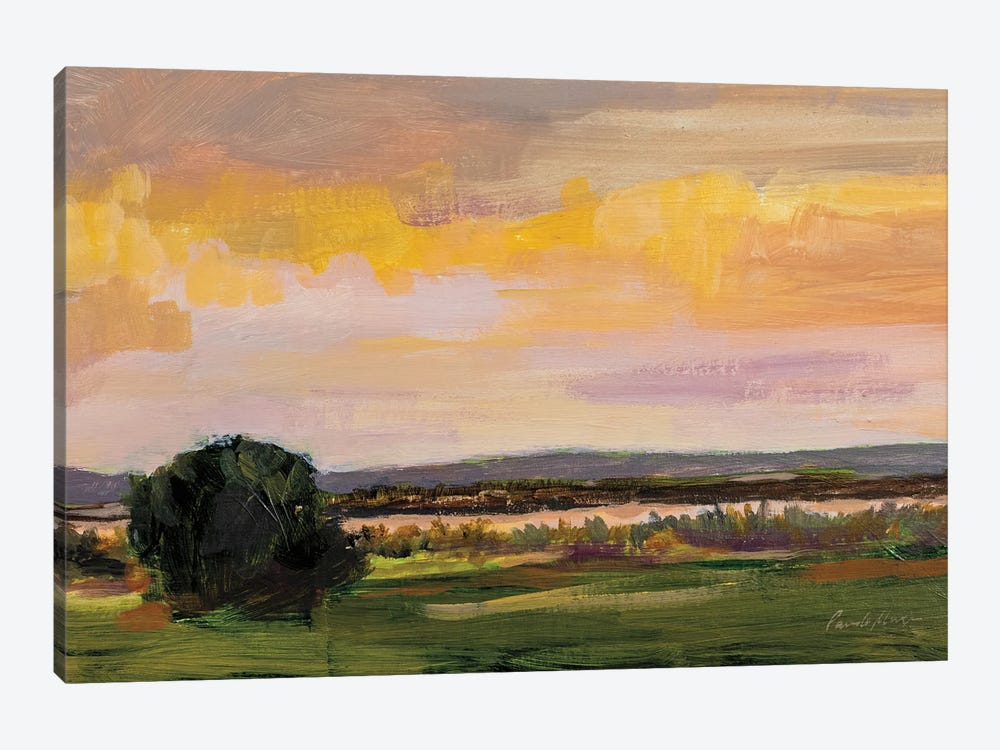 Dusk On Mesa by Pamela Munger 1-piece Canvas Print