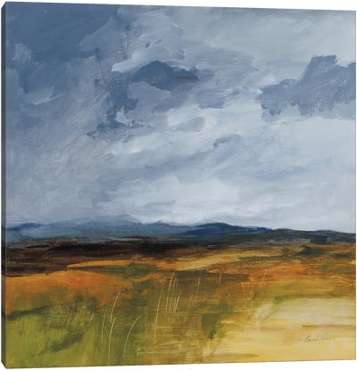 Storm Over Buckhorn Canvas Art Print - Pamela Munger