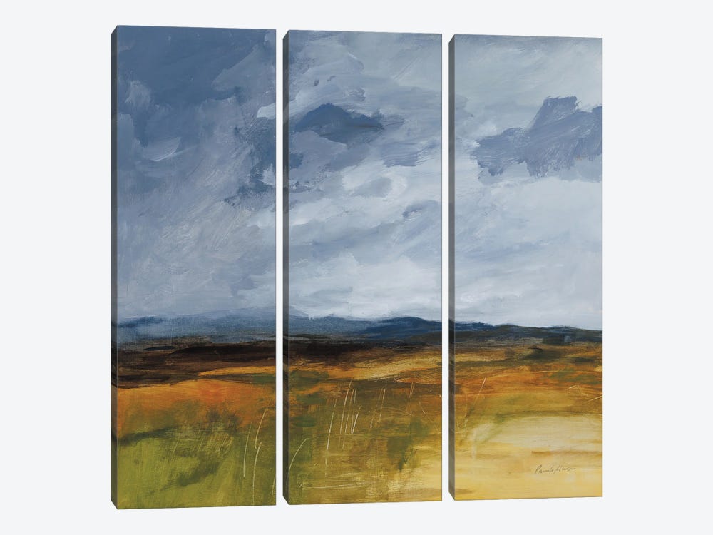 Storm Over Buckhorn by Pamela Munger 3-piece Canvas Art