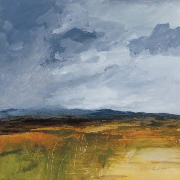 Pamela Munger: Storm Over Buckhorn by Pamela Munger