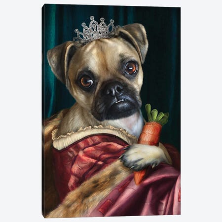 Gracie Canvas Print #PMP49} by Pompous Pets Canvas Wall Art