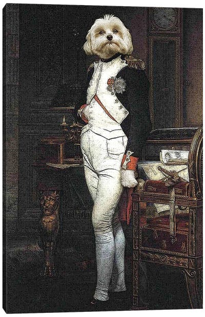 Napoleon Canvas Art Print - Pompous Pets