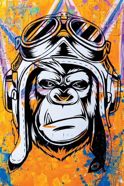 Crowns: Aviator by P Muir Art