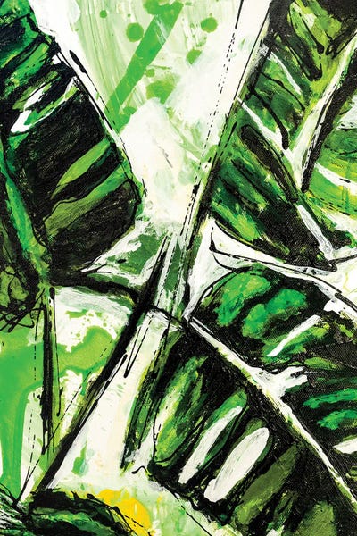 Black & White & Green: Evergreen by P Muir Art