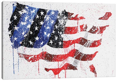 USA Flag Canvas Art Print - USA Maps