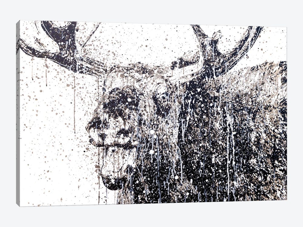 Moose by P Muir Art 1-piece Canvas Artwork