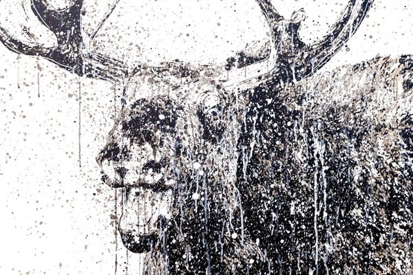 P Muir Art