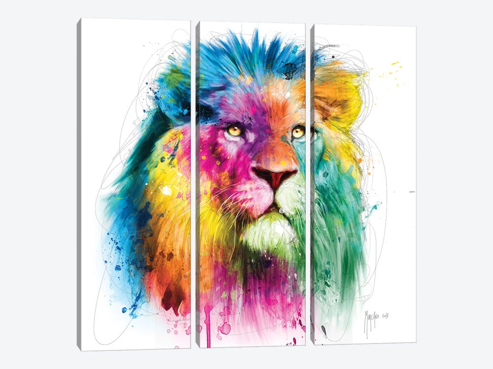 Lion 3-piece Art Print