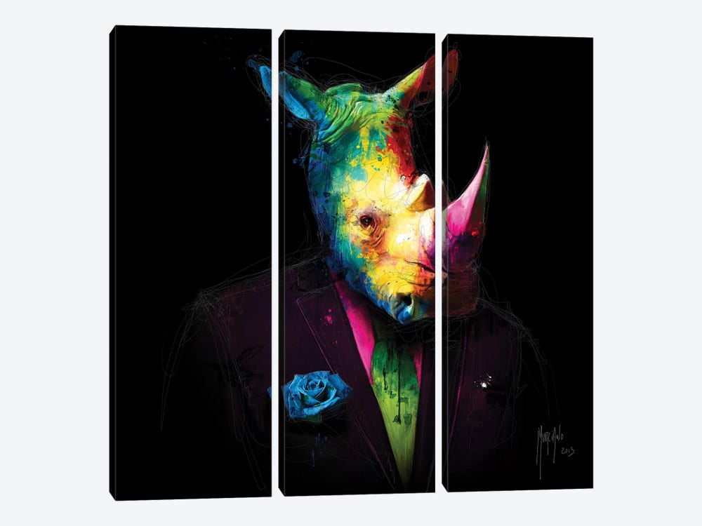 Oncle Rhino by Patrice Murciano 3-piece Canvas Artwork