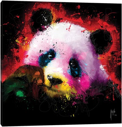 Panda Pop Canvas Art Print - Patrice Murciano