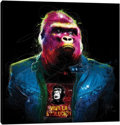 Rock N' Kong Canvas Art Print - Gorillas