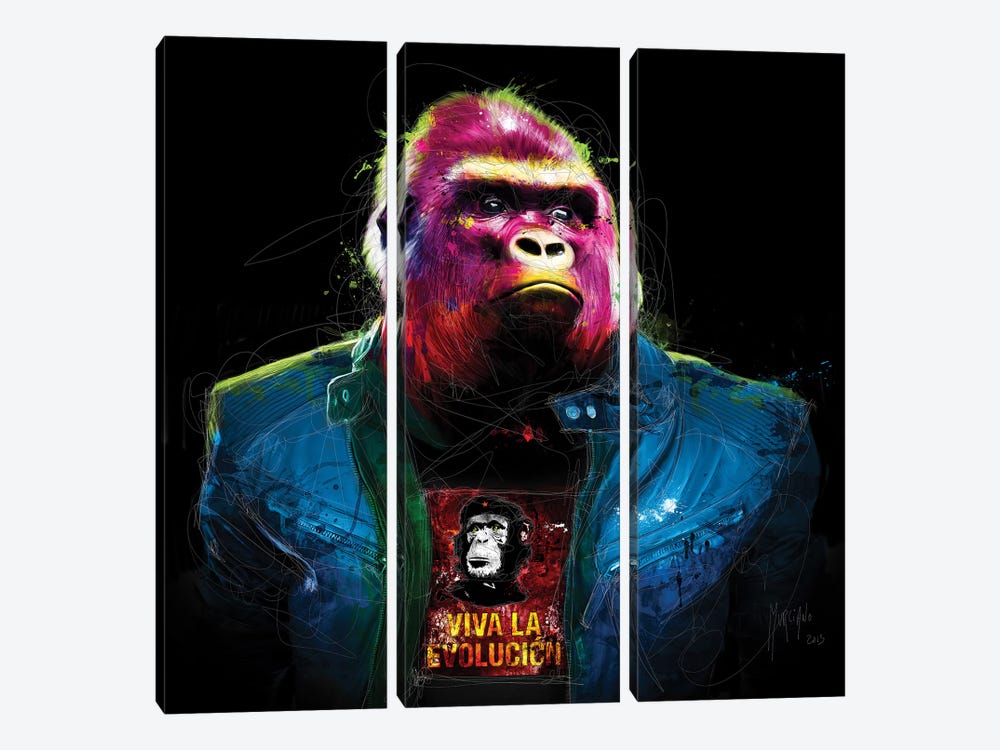 Rock N' Kong by Patrice Murciano 3-piece Canvas Artwork