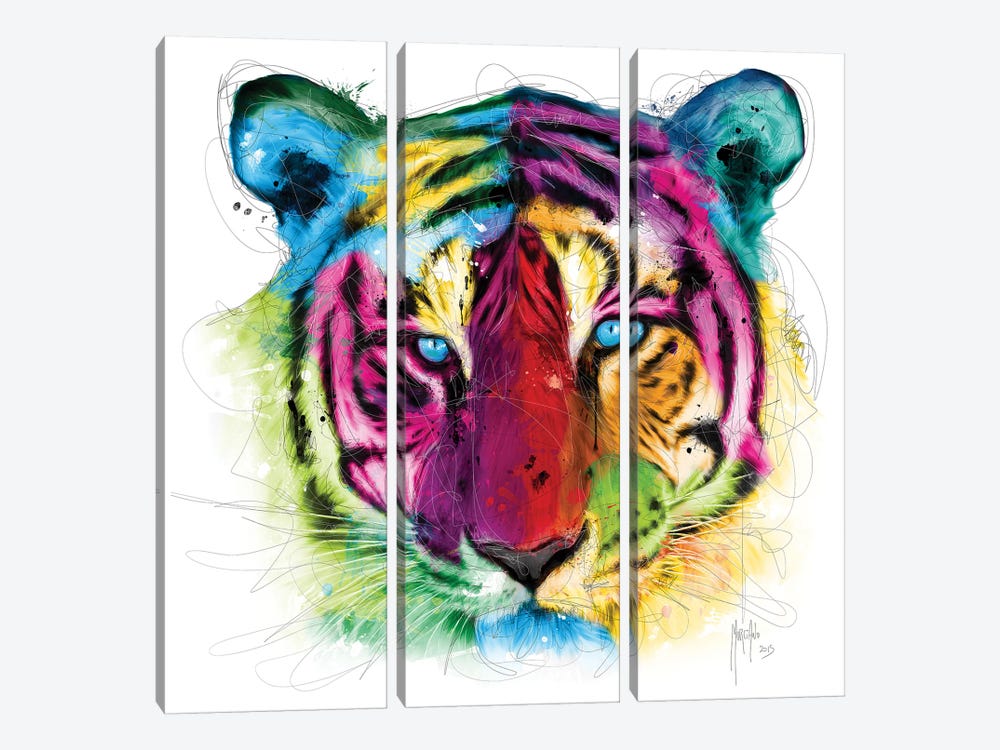 Tiger by Patrice Murciano 3-piece Canvas Art Print