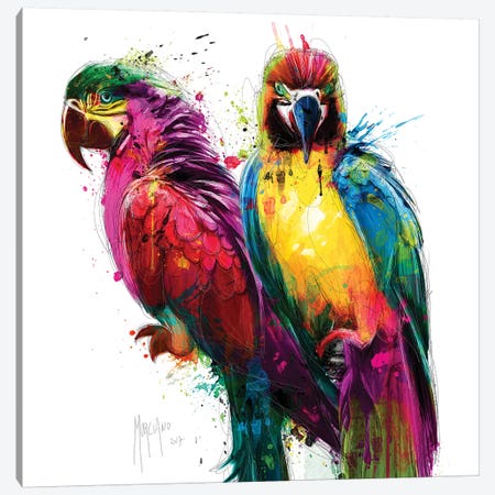 Tropical Colors Canvas Print #PMU133} by Patrice Murciano Canvas Art