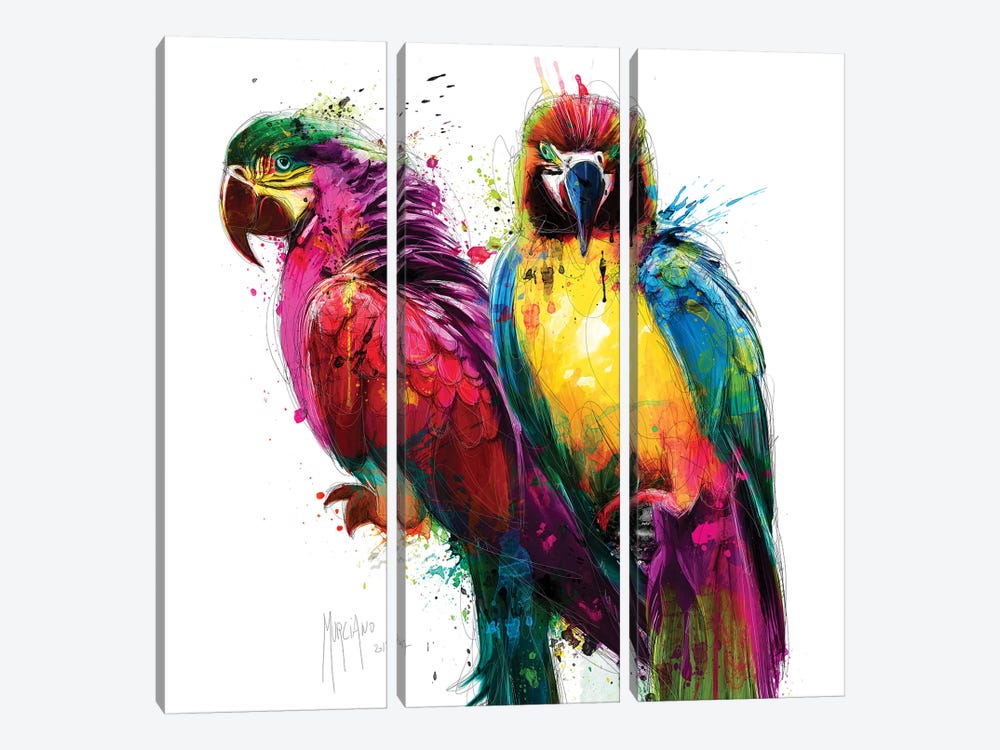 Tropical Colors by Patrice Murciano 3-piece Canvas Art
