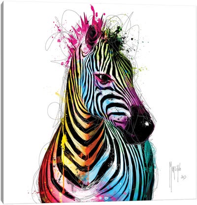 Zebra Pop Canvas Art Print - Patrice Murciano