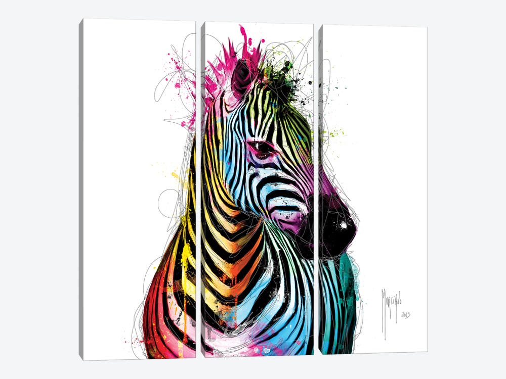 Zebra Pop by Patrice Murciano 3-piece Canvas Art