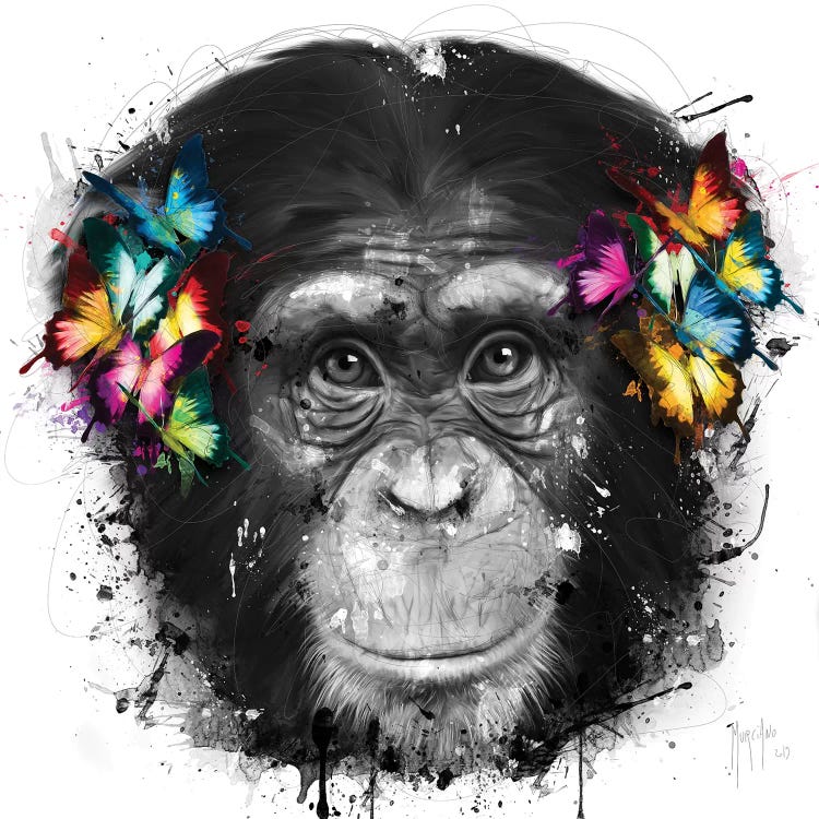 Don't Hear by Patrice Murciano wall art