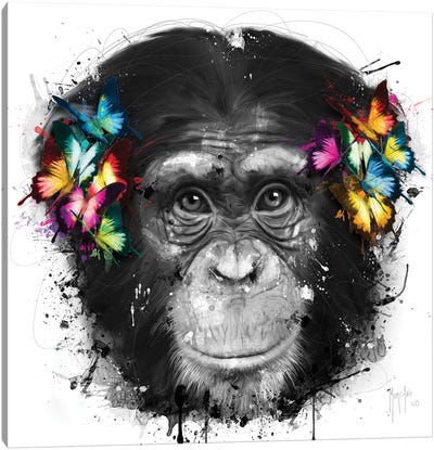 Don't Hear Canvas Art Print - Chimpanzee Art