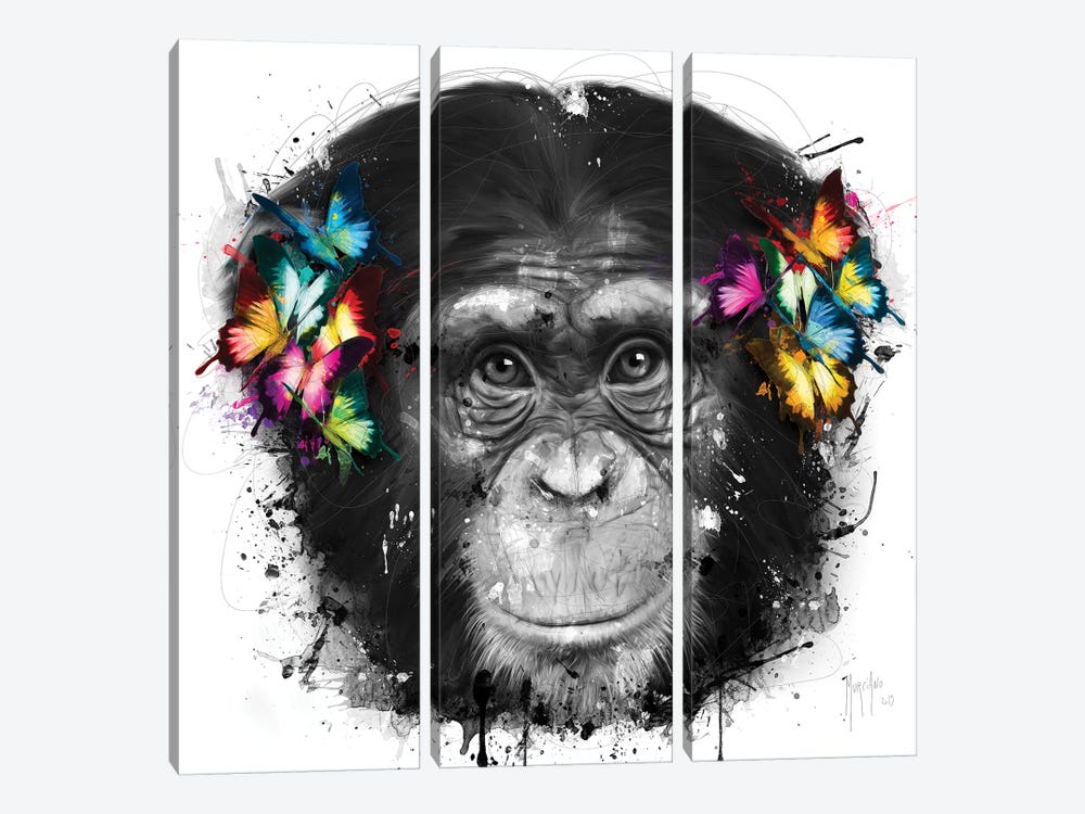 Don't Hear by Patrice Murciano 3-piece Canvas Art