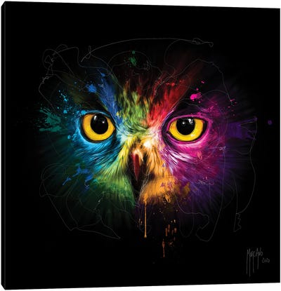 Pop Owl Canvas Art Print - Patrice Murciano