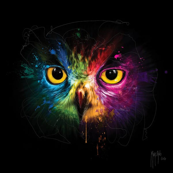 Patrice Murciano: Pop Owl by Patrice Murciano