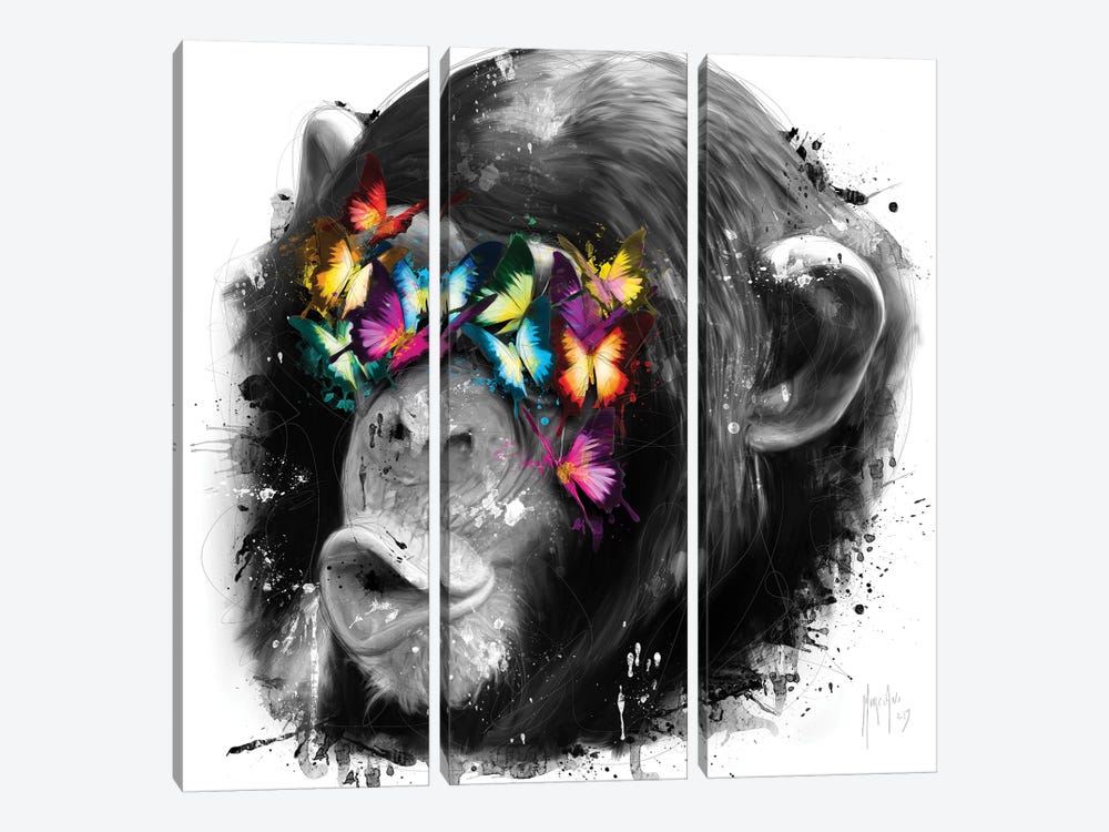 Don't See by Patrice Murciano 3-piece Canvas Art Print