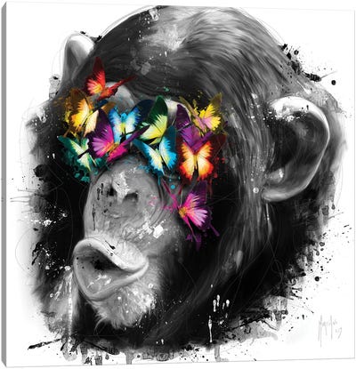 Don't See Canvas Art Print - Chimpanzees