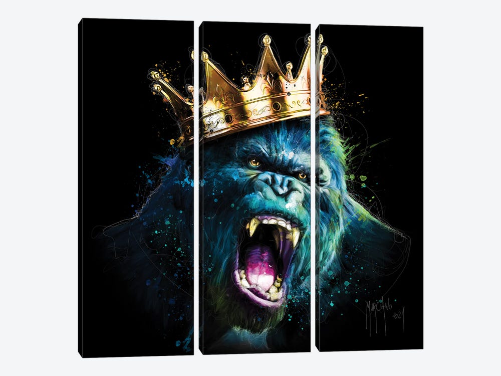King Kong by Patrice Murciano 3-piece Canvas Print
