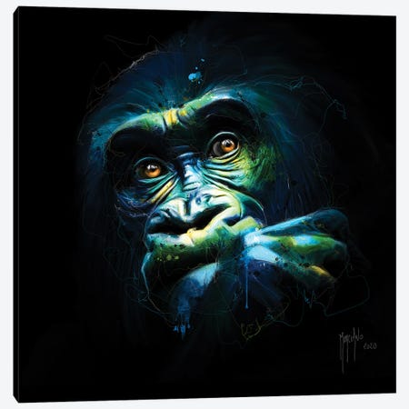 Black Kong Canvas Print #PMU154} by Patrice Murciano Canvas Print