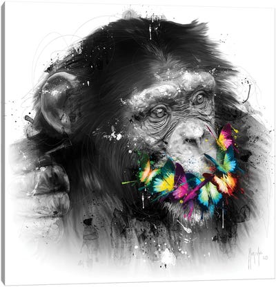 Don't Speak Canvas Art Print - Chimpanzees